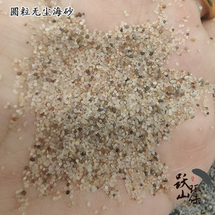 ��ͯ�ʘ�ɳ �A��ɳˮϴ�o�m��ɰ �A��ɰ �����ɰ ����ɳ����ɳ