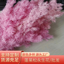 新款保鲜蓬莱松永生花批发 DIY花艺家居资材配花配草配材七夕礼盒