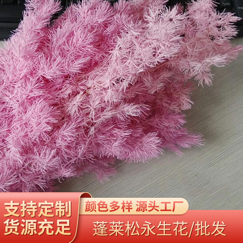 新款保鲜蓬莱松永生花批发 DIY花艺家居资材配花配草配材七夕礼盒