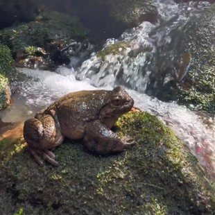 �������ʯ�����l4���Bֳʯ�[���ֱ�_��������ȥ���K�r��ˮ�a