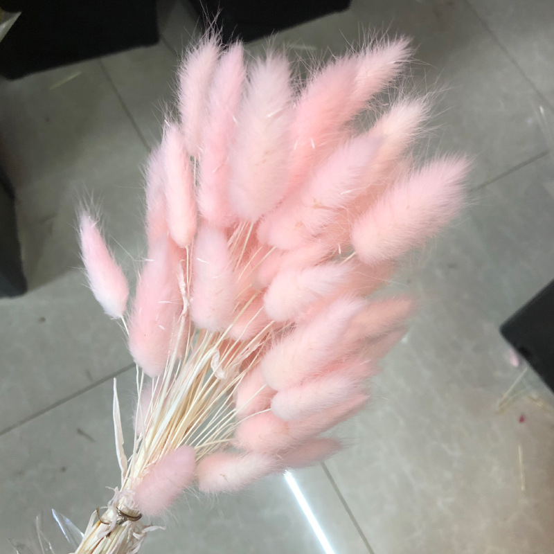 라이트 핑크 토끼 꼬리 60개