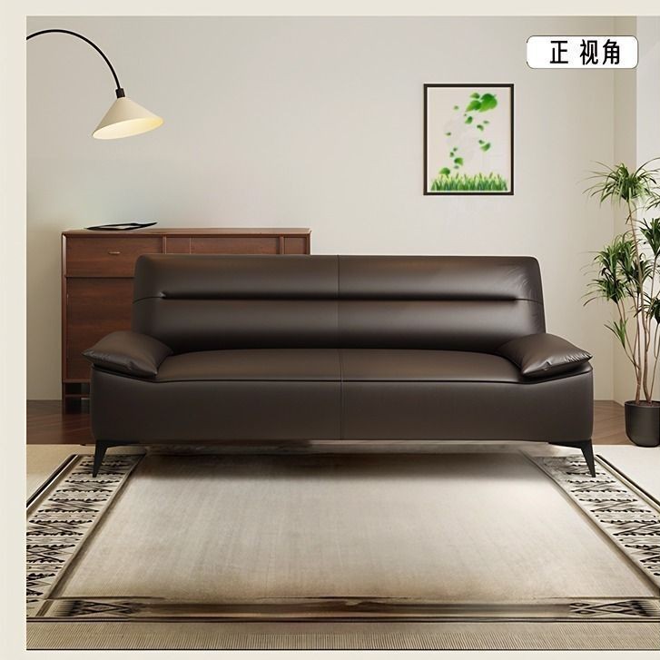 Cat-Scratch-Resistant Leather Sofa Bed, Dual-Purpose Sofa, Simple Design for Small Apartments, Living Rooms, Rental Apartments, Offices, Foldable Sofa