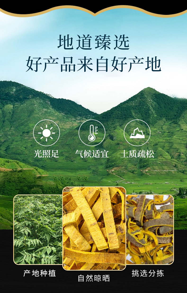 Phellodendron Bark (Phellodendron chinense) β Dried Sichuan Huang Bai Decoction Pieces overview