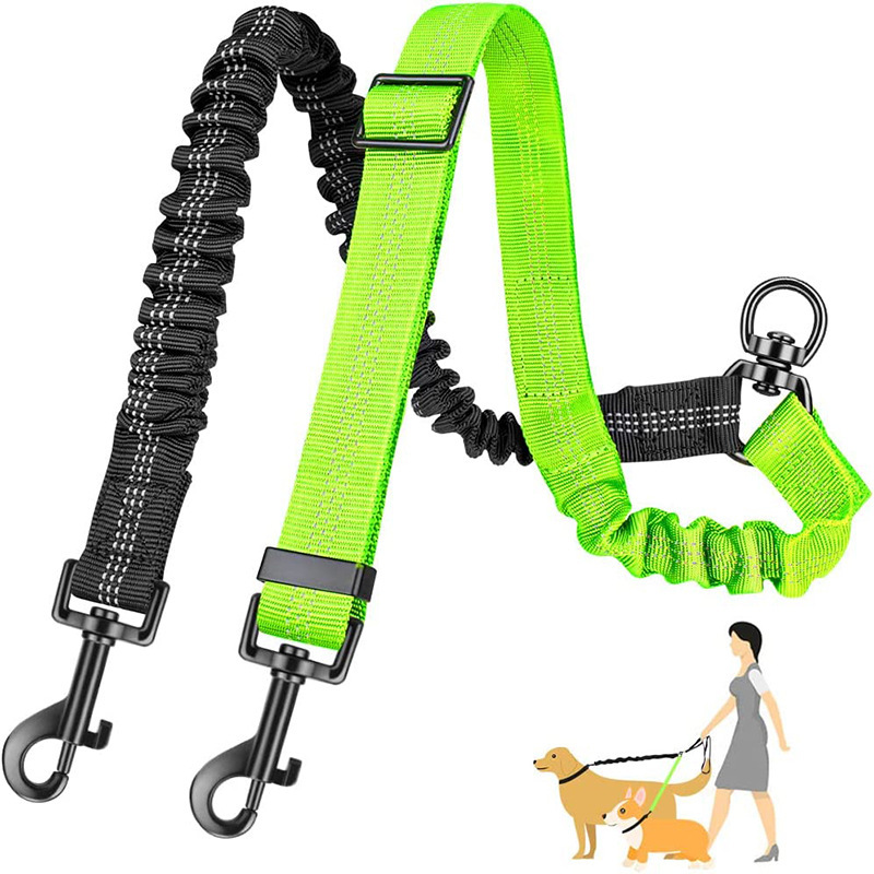 Cross-Border Pet Leash, Automatic Retractable One-To-Two Dog Leash, Outdoor Dog Walking Explosion-Proof Two-Color Solid Dog Leash