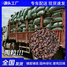 园林园艺陶粒工程建筑厕所回填轻质陶粒高强度整车批发陶粒厂家