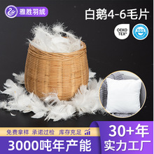 跨境供应白鹅羽 4-6毛片水洗工艺鹅绒填充物 床上用品鹅绒填充品