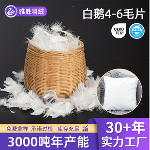 �羳�������Z�� 4-6ëƬˮϴ��ˇ�Z�q����� ������Ʒ�Z�q���Ʒ
