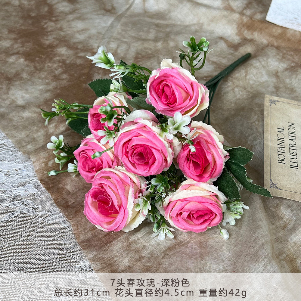 RLY-7 rosas de primavera-Rosa profundo