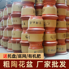 �m�������l�бP�մɻ����ش�̖��ɰ�軨�軨���ͼt�ջ������