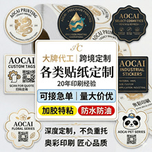 PVC�����z�˺��N������ �V��LOGO�̘�ƿ�N���� ͸��PET�N������