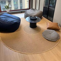 菠萝圈地毯圆形地毯新款耐磨耐抓家用沙发茶几毯防猫抓卧室宠物垫