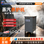 T梁冬季加温蒸汽机公路隧道混凝土养护蒸汽锅炉机混凝土蒸汽养护