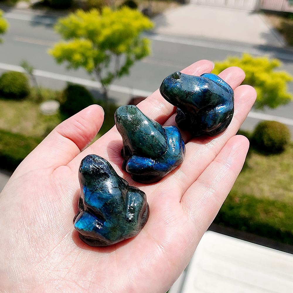 래브라도라이트 개구리