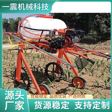 ʽșC șC FCrșCС