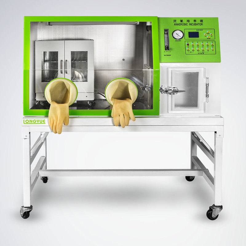 Shanghai Longyue Lai-3-N Anaerobic Incubator Constant Temperature Culture Chamber Anaerobic Operating Room Technical Parameters