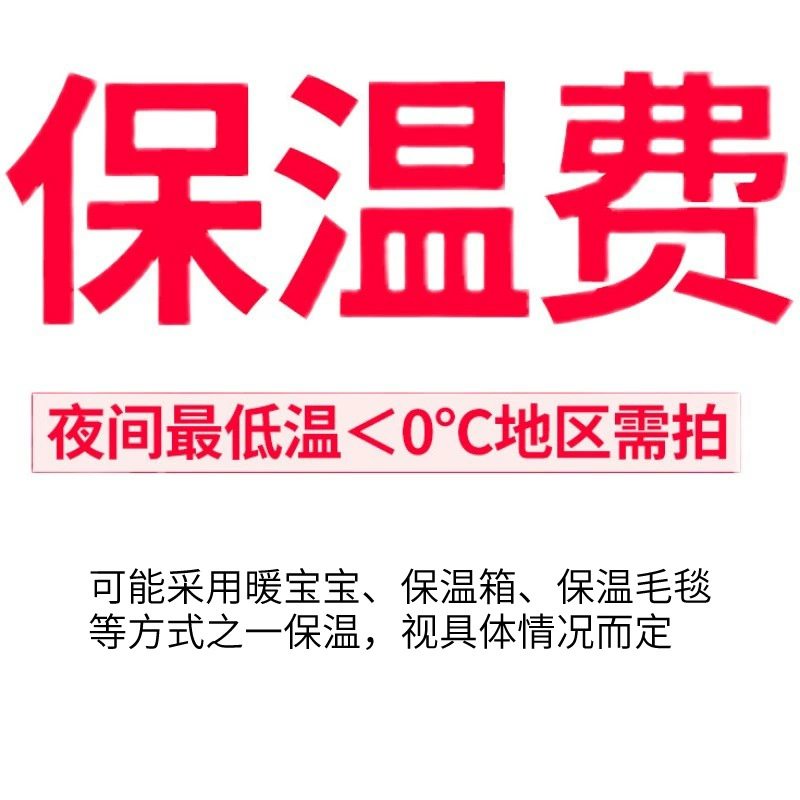 [Плата за сохранение тепла] Эта плата за сохранение тепла требуется для фотографирования растений в районах, где низкая температура ниже 0 ℃ ночью, 5 юаней.