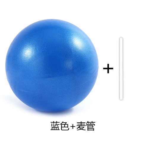 PVC 防爆つや消しミニピラティスヨガボール小麦チューブボール 25 センチメートルバランスフィットネスボール pvc ヨガボール|undefined
