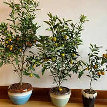 �������玧����������Ә������Ե����ϱ��������Ƥ�ļ����G