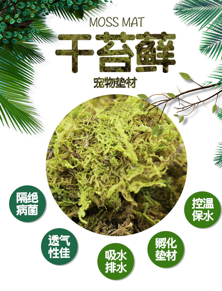 da1c8ed1-a4af-443a-9d19-181c1ac51528.jpe