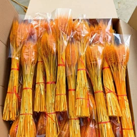 盆栽;干花;其他园林植物