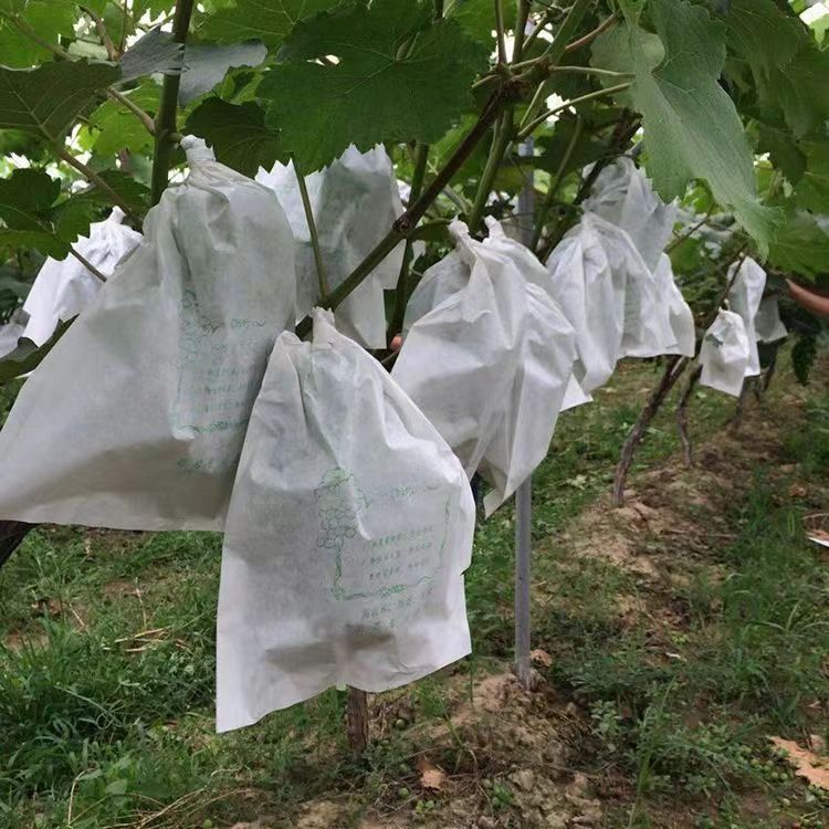 2aafb024c3a9f063a05da067bd62ee