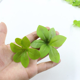 ����3d�z���Gֲ���~ DIY���~���R�~ �Ҿӈ@���b��~�ӏS�����l
