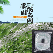 跨境聚乙烯pe果园防鸟网绿色庭院阳台花卉透明防护防鸟网Bird net