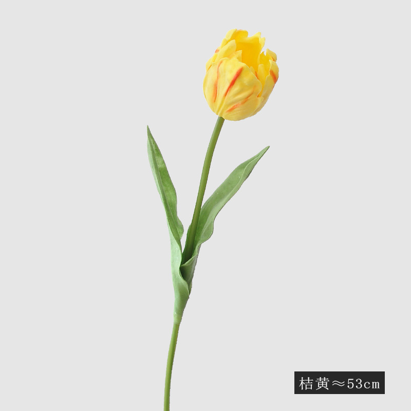 오렌지