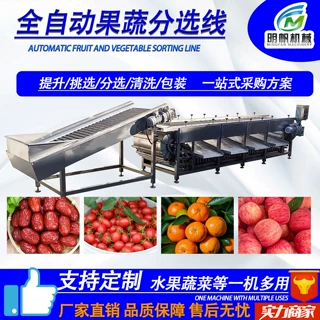 大枣挑拣清洗风干分级流水线  猕猴桃圣女果柑橘挑选分选清洗机