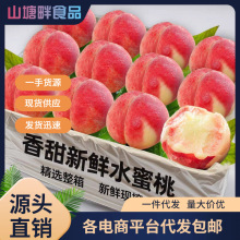 水蜜桃爆甜水果新鲜当季整箱脆甜毛桃包邮应季油密软桃子一件代发