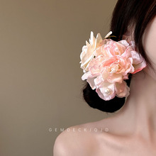 ���ļ����L��ɫ����ץ�Aɭϵ�ɚ������Շ��д�̖�lץ�����l�A�l��