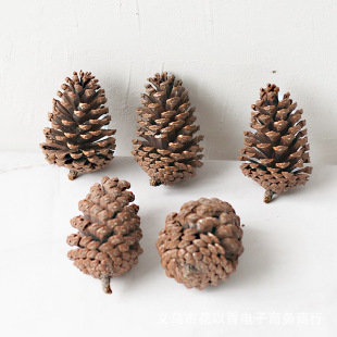 [Super Large pine cones] Pine Tower Christmas tree natural diy raw material zakka natural dried fruit Christmas decoration supplies