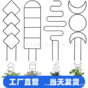 �҃�����ֲ�ﻨ������С���@����������ⳣ����֧�����w�G����