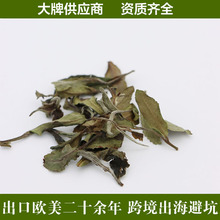 ŷ���л��ײ������ĵ����������ɢװ�����羳����WhiteTea����