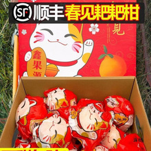四川春见耙耙柑橘子净斤粑粑柑丑桔子整箱当季应季新鲜水果年货