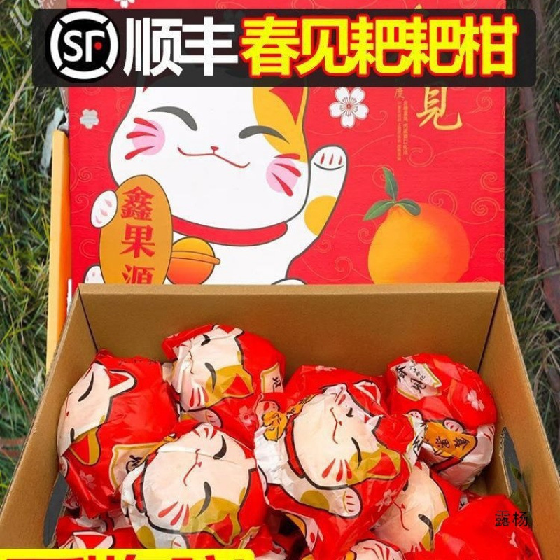 四川春见耙耙柑橘子净斤粑粑柑丑桔子整箱当季应季新鲜水果年货