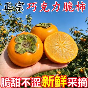 ������S�ɿ������������rˮ��9��ĥ�P�t���ӑ������r��ˮ������