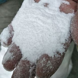 ��ɫ�۱�ϩPP��֬���� ����С ��ɢ�Ժ� ����������ע�ܼ�