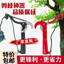 ��֦���K�Ӹ�֦����ժ�����߿ռ����^��֦�����߿���֦����