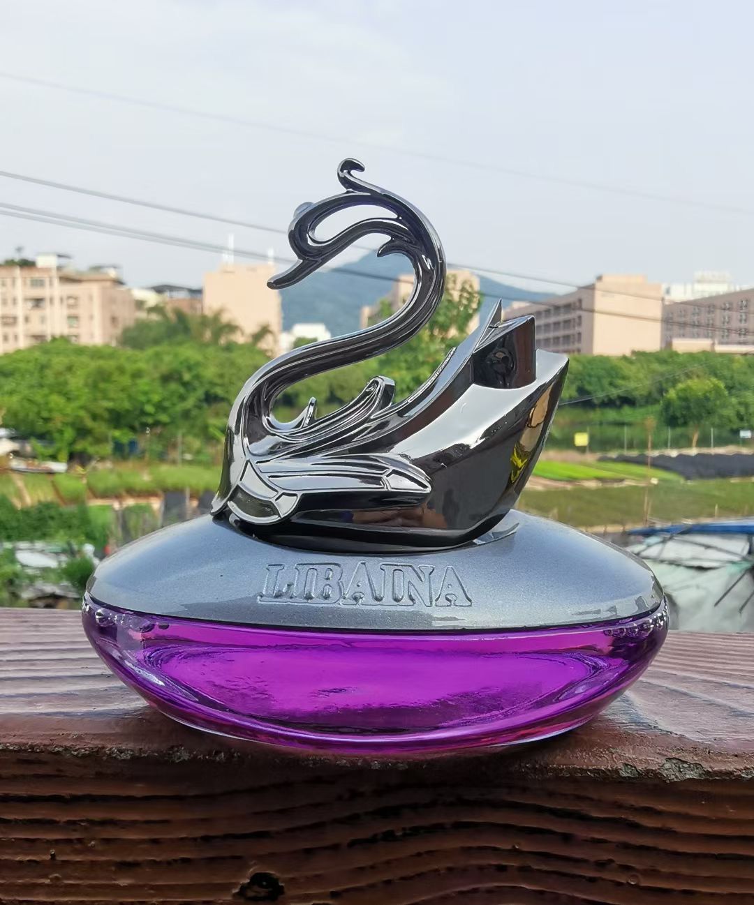 81DA517D6A31C39CEAEE6A96609DBC