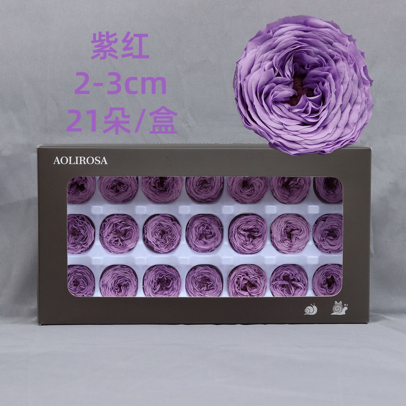 Grade A Valentine's Day Rose/Austin/Eternal Flower/2-3CM Rose cabeza/fábrica al por mayor gran cantidad Congyou