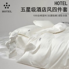 Nordic Minimalist Style 100S Long Staple Cotton Damask Quilt Set Pure Cotton All Cotton Bed Sheet and Duvet Cover Bed Skirt Three-Piece Set Bare Sleep