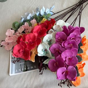 ���滨�����m�ٻ���Ʒ���컨��c�ҾӔ[�O·����Ӱ�����l��Y����