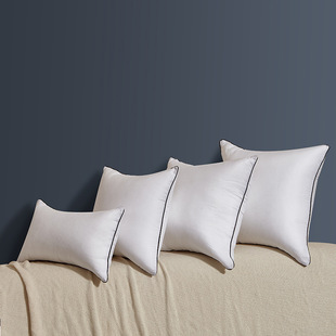 Manufacturers sell pillow core waist pillow piping feather velvet pillow core feather silk cushion core 45 50 55 size can be made