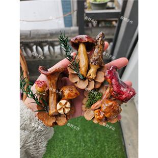 ����Ģ��Ұ������ˇƷ�[�������N���F�W�t����ԭ��