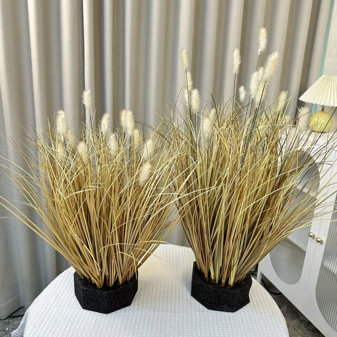 No. 2 Big Autumn Hair Cordyceps 65cm(19 cabezas)