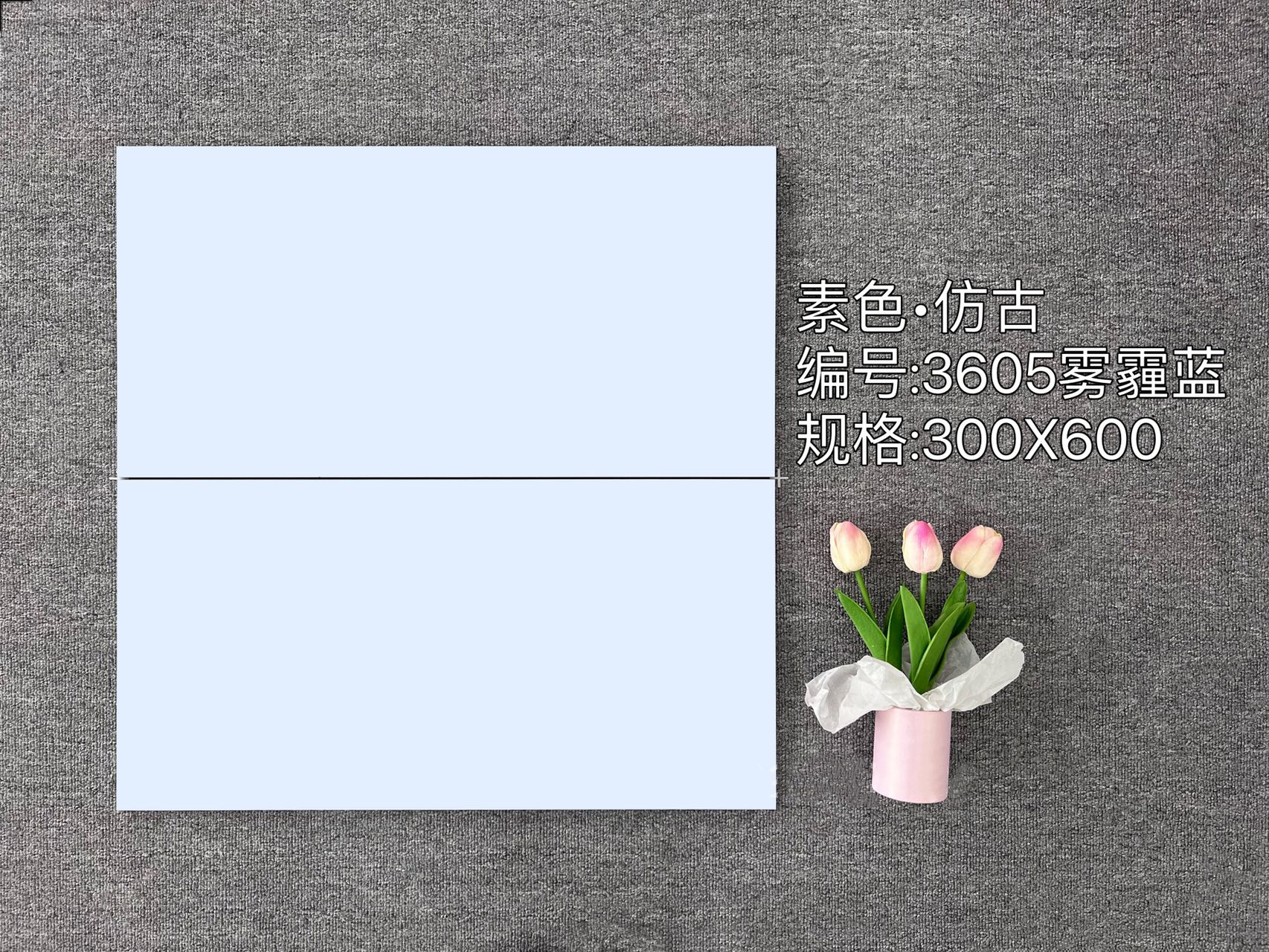 헤이즈 블루 3605