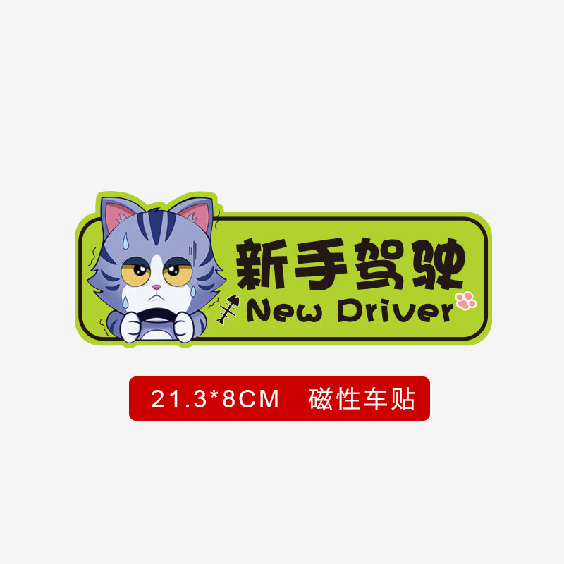 [Black Cat] Novice Driving