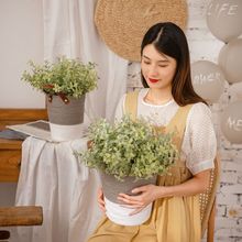 �S�ҷ��滨�N�� ֲë���Ӳ��ȼ���������l�ٻ���c�b�GF16294A