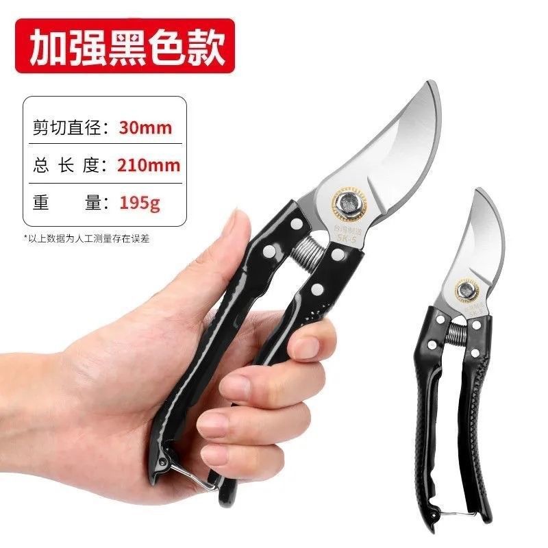 블랙 스케일 일반